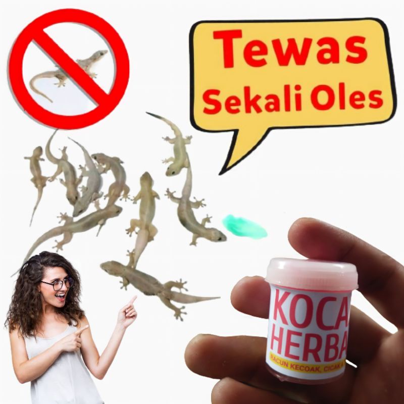 Jual Racun Cicak Kecoak Tokek No Non Label Bisa Pasang Merk Anda Sendiri Shopee Indonesia