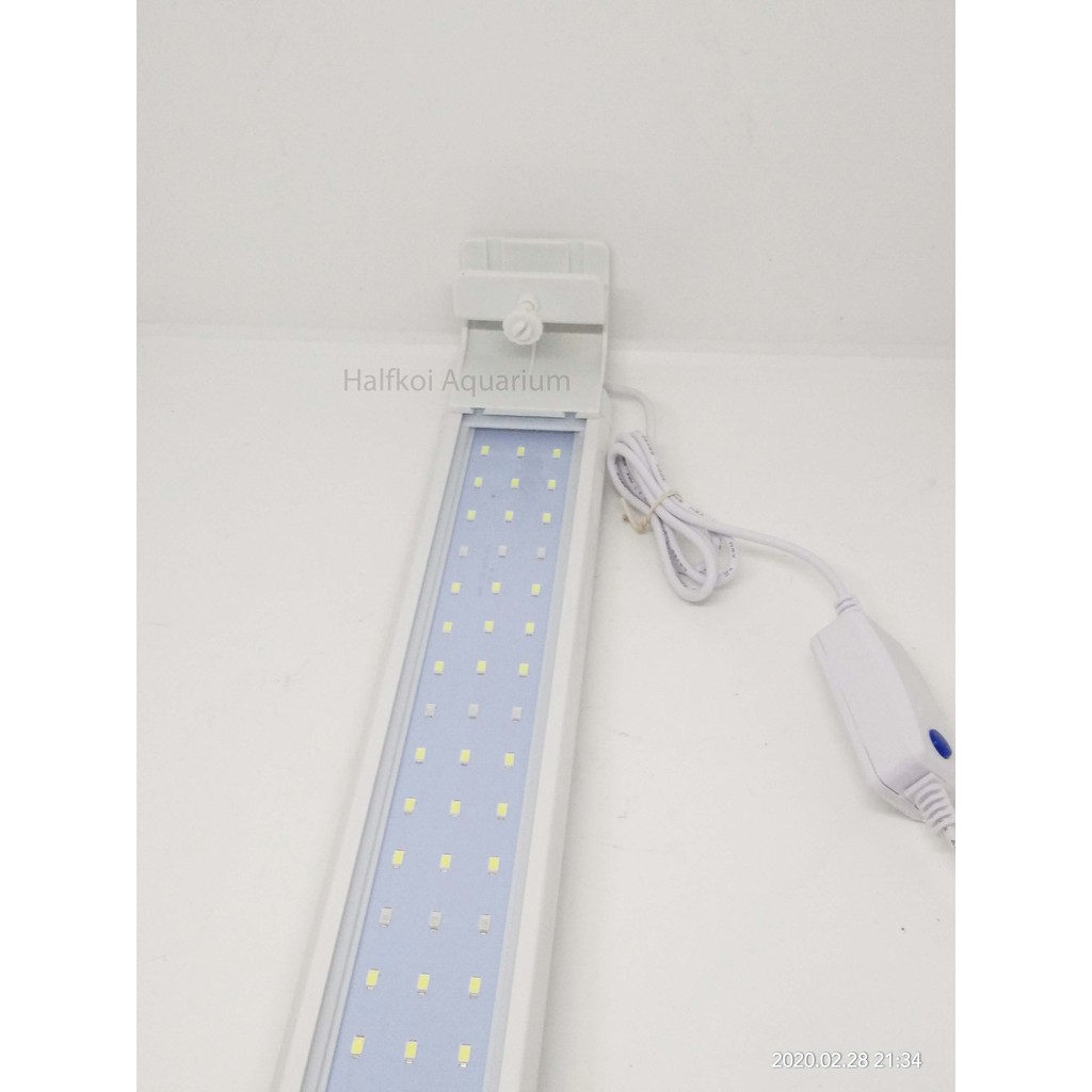 Lampu RCG 818 Sw Recent 80cm aquarium - Lamp Biru Putih / Putih