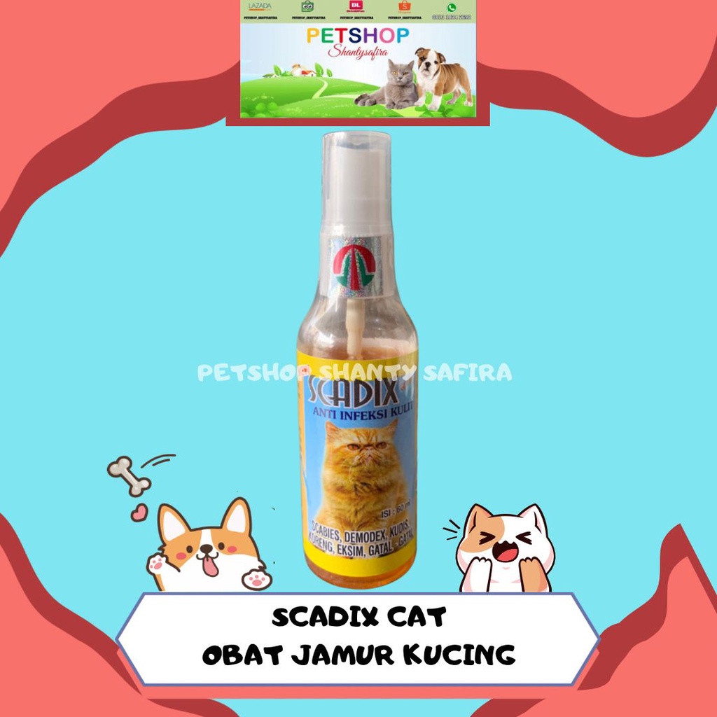 SCADIX ANTI INFEKSI KULIT KUCING ANJING SRPAY 60 ML OBAT KULIT KUCING