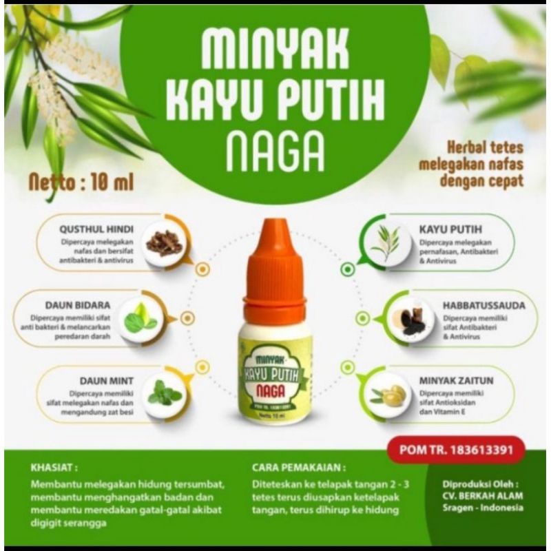 MINYAK KAYU PUTIH NAGA | MINYAK KAYU PUTIH PLUS QUSTHUL HINDI ASLI ORIGINAL