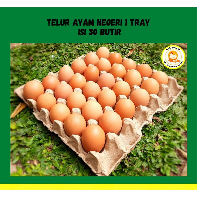 

Telur Ayam Negeri / Ras Isi 30 Pcs / Butir