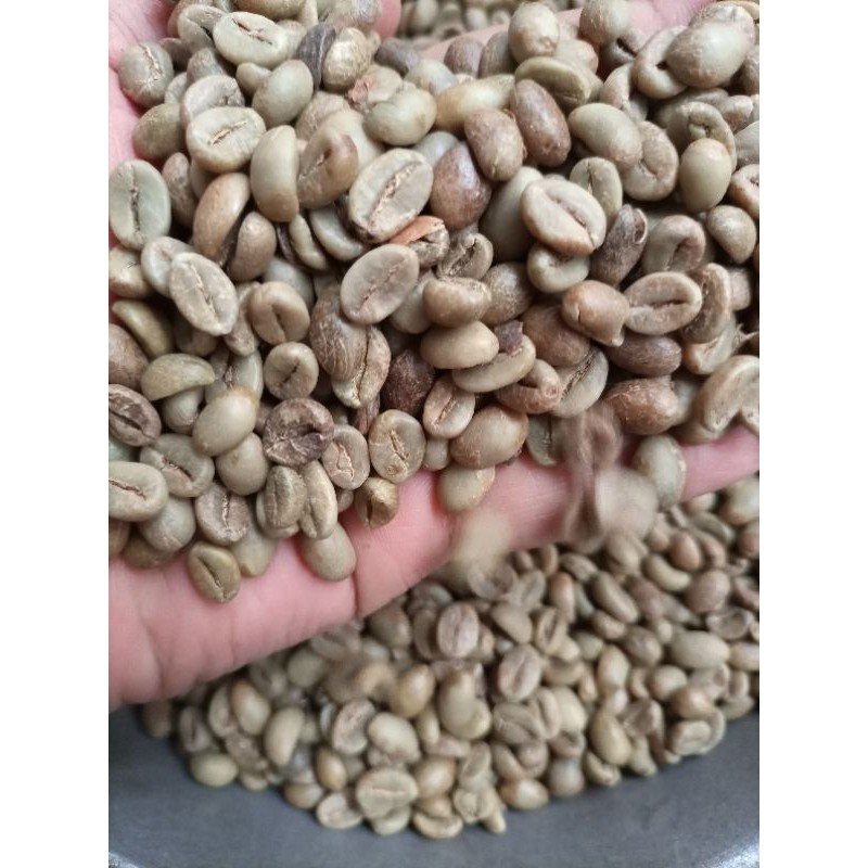 Kopi Biji Robusta Temanggung Green Bean Robusta Kopi Mentah Siap Sangrai Bahan Baku Kopi Bubuk