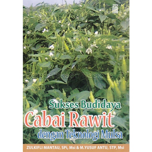 Sukses Budidaya Cabai Rawit dengan Teknologi Mulsa