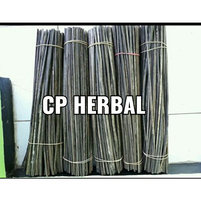 lidi aren harupat aren harupat kaung kering per 40biji p/40cm