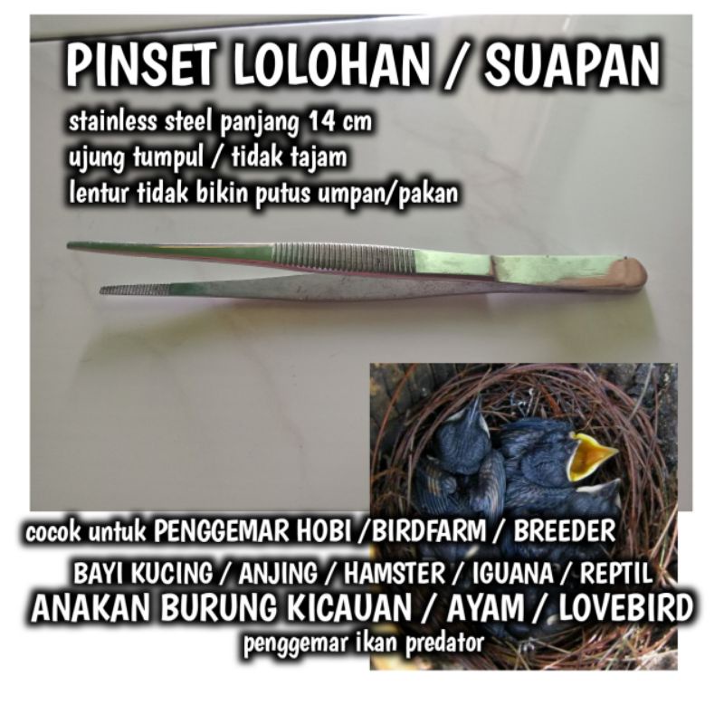 pinset suapan lolohan untuk anakan burung, lovebird, murai, ayam, anjing, kucing, ular, reptil, kura