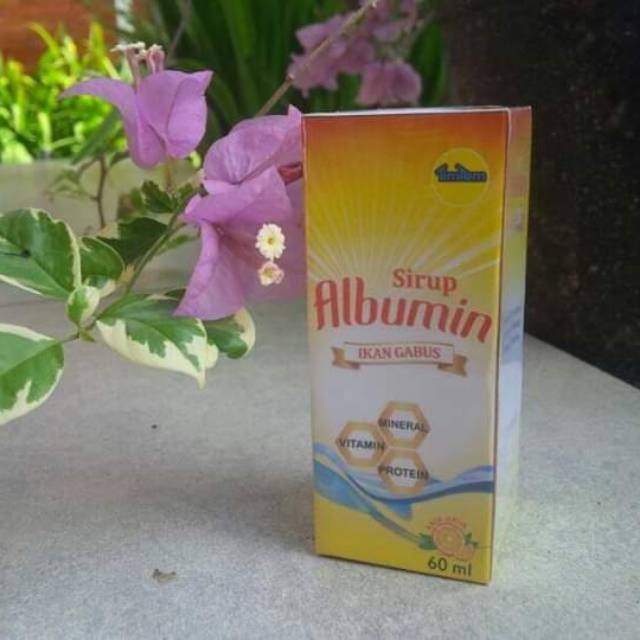 

Sirup Albumin