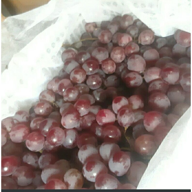 

Anggur merah fresh 500 gram