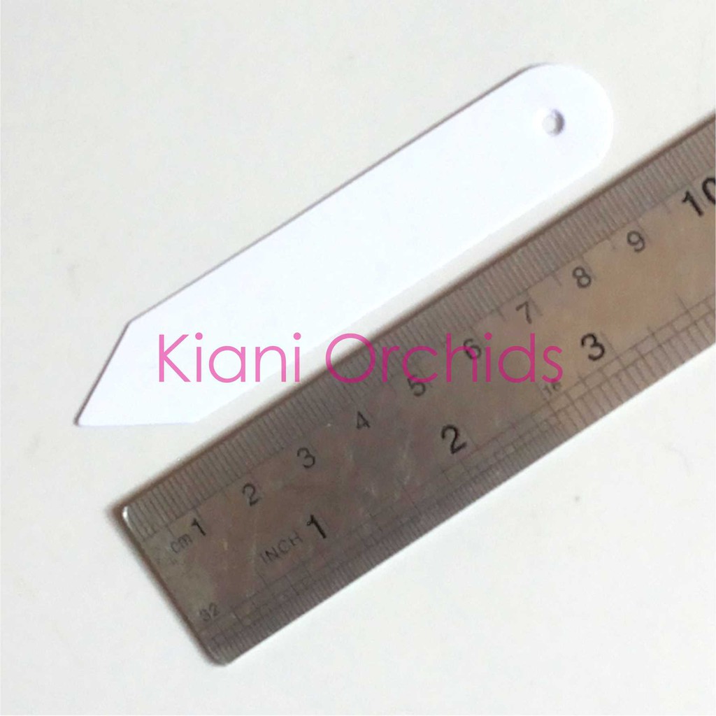 

H7Y Label Tanaman Anggrek PRAKTIS