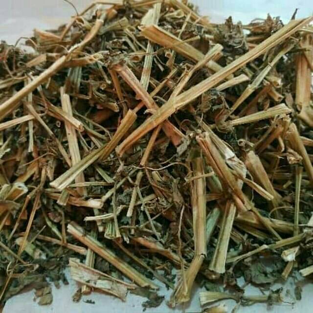 Daun Ciplukan / cecendet kering asli 1kg | Shopee Indonesia