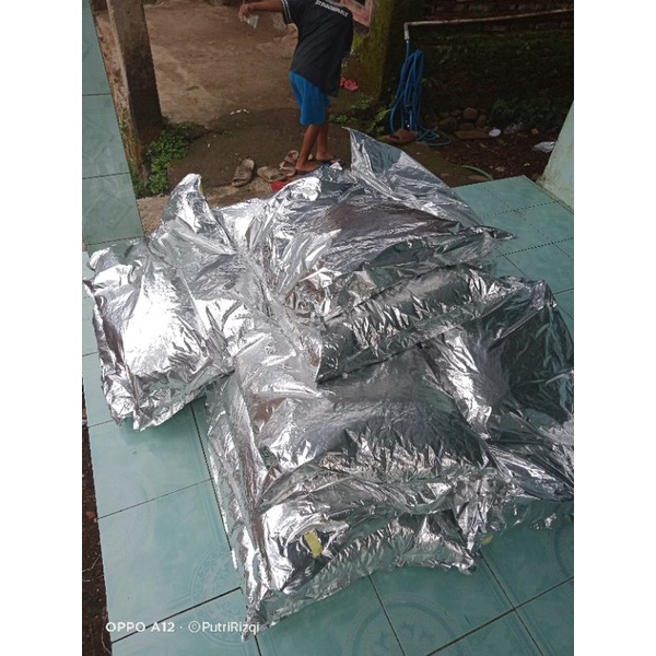 KERIPIK NANGKA OVEN 1 BALL ISI 5 KG