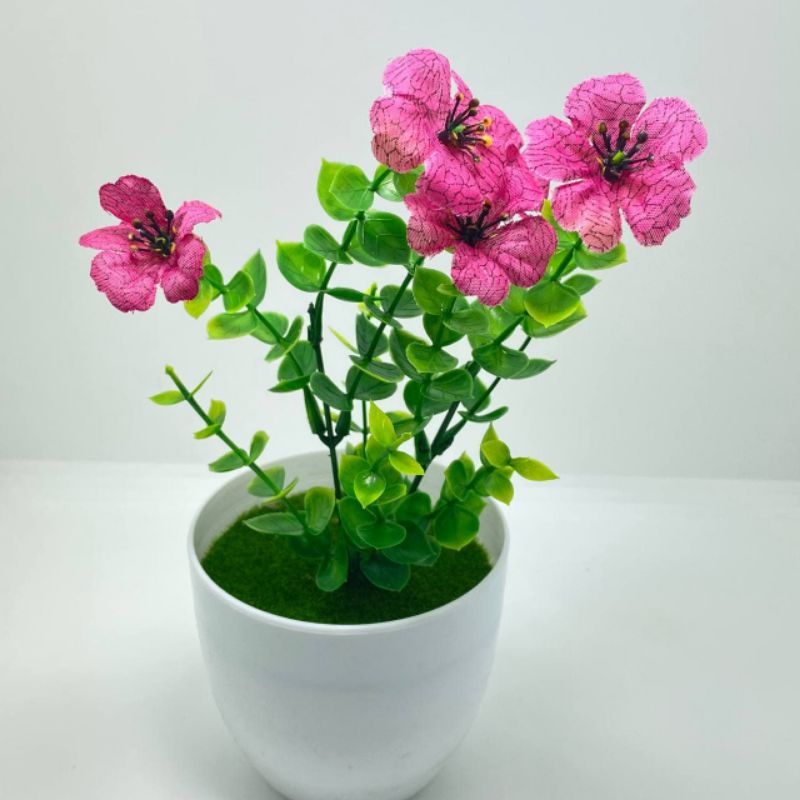 Paket Pot Batu + Bunga Petunia Hias - Dekorasi Daun Bunga Hias PLASTIK - Pot Bunga - Tanaman Hias Ar