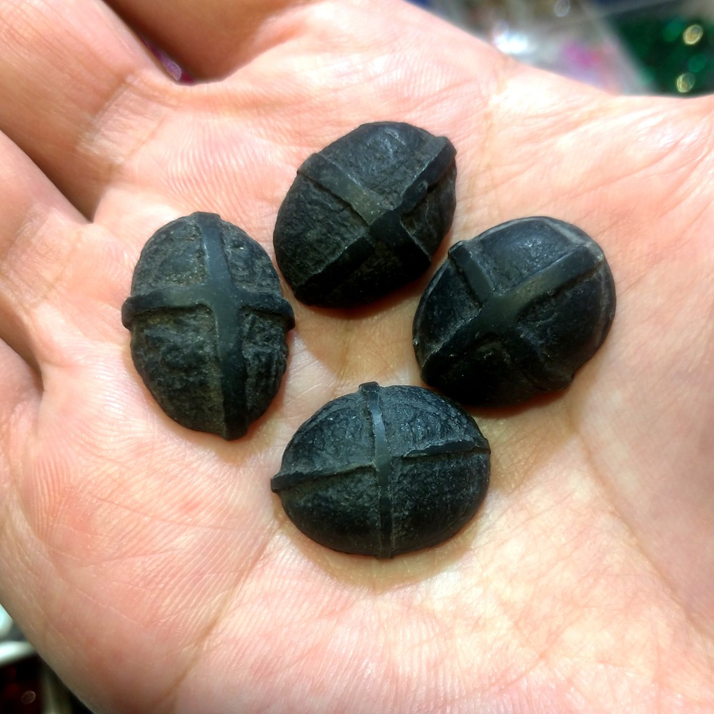 Batu Tapak Jalak Hitam Unik Langka