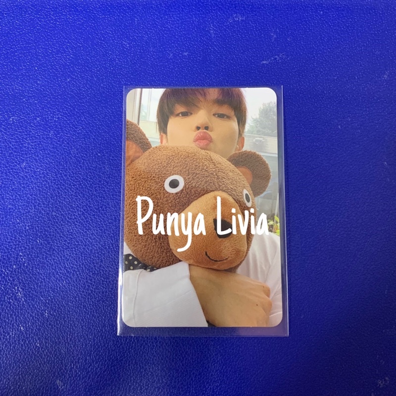 NCT127 TAEYONG STICKER OFFICIAL PHOTOCARD (BONEKA/TEDDY)