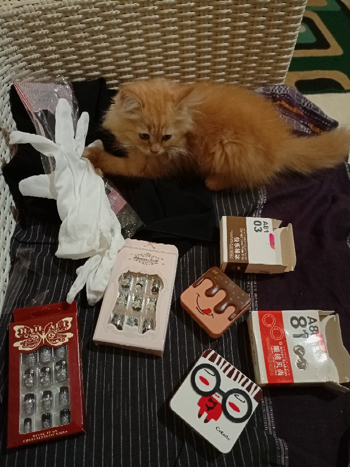 Kotak Softlens Kaca + Botol (kakao)