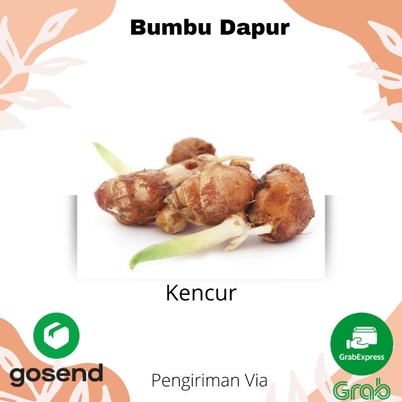 

KENCUR SEGAR FRESH BUMBU DAPUR