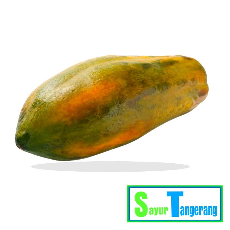 

Pepaya 1 Buah Berat 1,5kg - 2kg