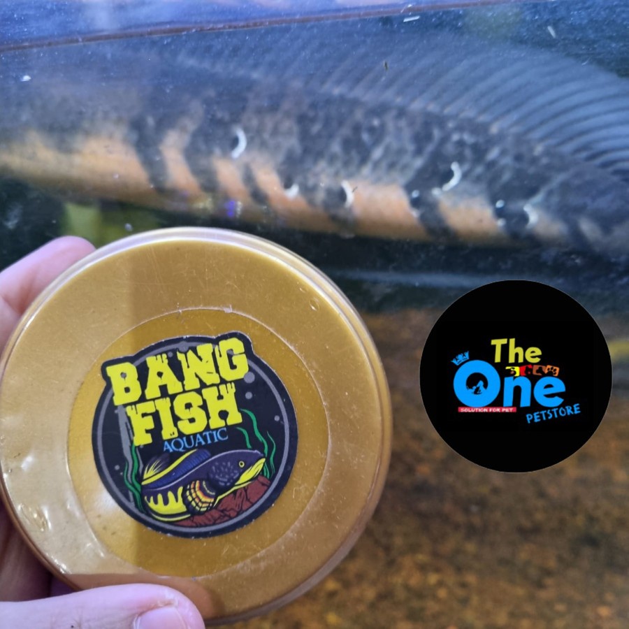 PELET SARKEM UNTUK PROGRES BUNGA TERBAIK Pelet Channa Maru