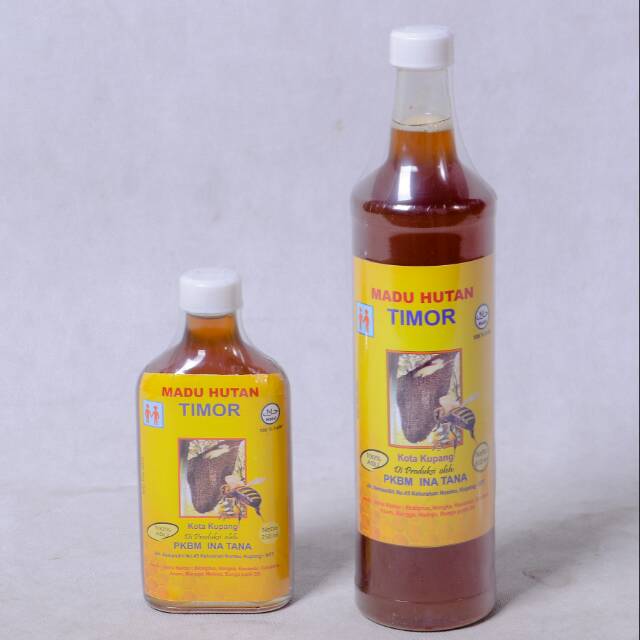 

Madu Hutan Timor