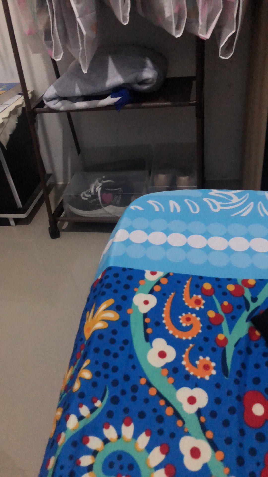 Tgb Kotak Sepatu Transparan / Transparant / Shoebox Dengan Gagang/handle