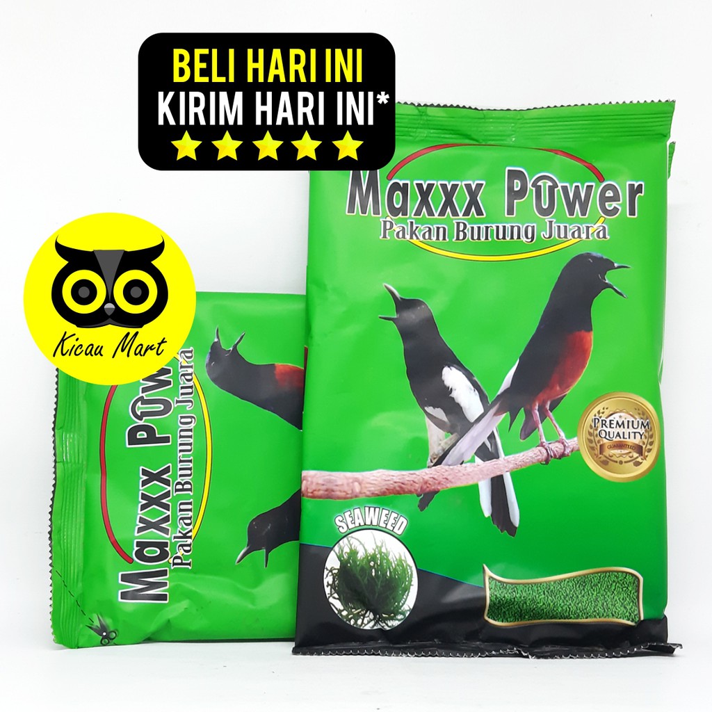 PAKAN MAKANAN HARIAN BURUNG MURAI KACER JALAK VOER PUR SEAWEED MAXXX POWER KEMASAN PLASTIK PKNBRMP3