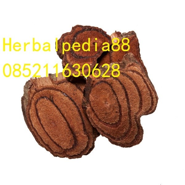 Ji Xue Teng Spatholobus 600 gram