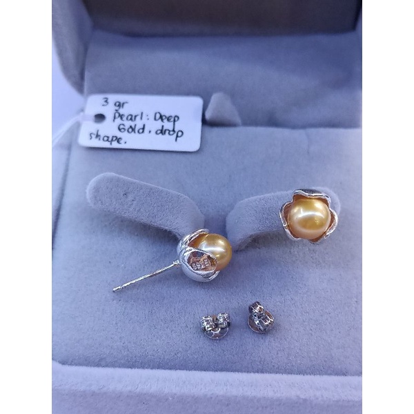 Anting mutiara laut / giwang mutiara simpel giwang silver 925 mutiara laut gold / earring sea pearl 