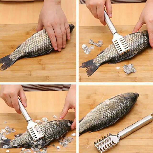 Alat Pembersih Sisik Ikan dengan Bahan Stainless yang Anti Karat