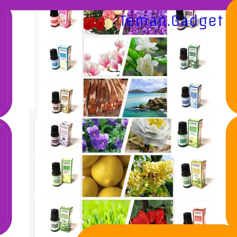 TG-CE013 OUSSIRRO Pure Essential Oils Minyak Aromatherapy 10ml - EOL10