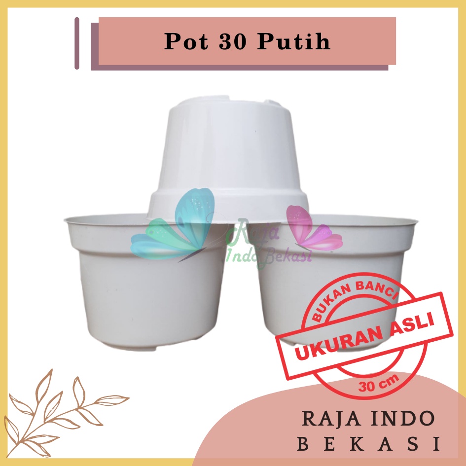 Pot 30 Putih Polos Pot Bunga Putih Tanaman Hias Besar Lusinan Pot Bunga 30 Putih Murah Grosir