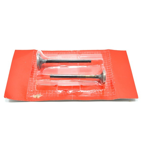 Valve Set (Klep Set) – Vario Karbu