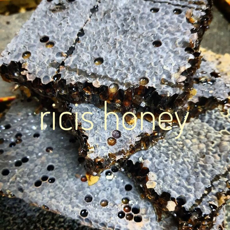 [[MENGANDUNG BEEPOLEN]]MADU SARANG ASLI RAW HONEY SARANG MADU HONEYCOMB