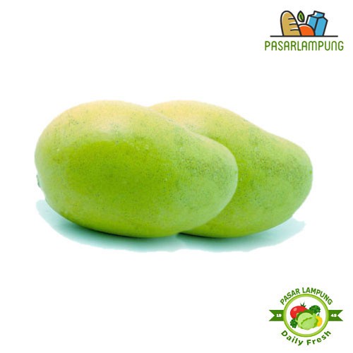 

Mangga Dermayu 1,2 Kg Isi 3 Pasar Lampung