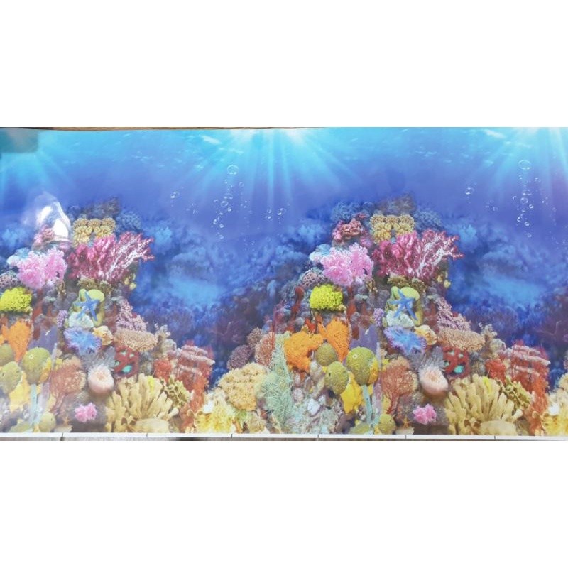 BACK GROUND TINGGI 40 CM GAMBAR TERUMBU KARANG AQUARIUM PANJANG PER METER / BACKGROUND AQUARIUM