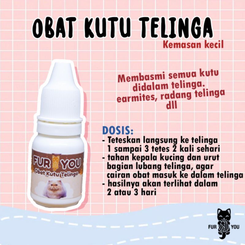 earmites kucing kutu telinga kucing tetes kutu telinga