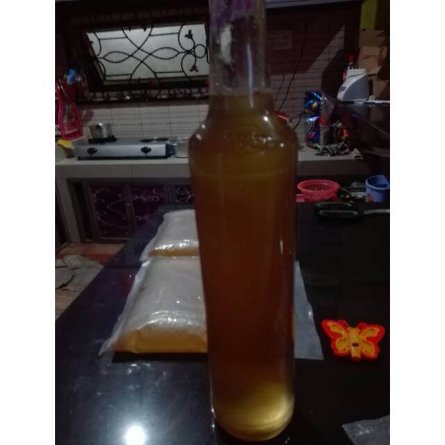 

Madu asli dari hutan pulau Bangka