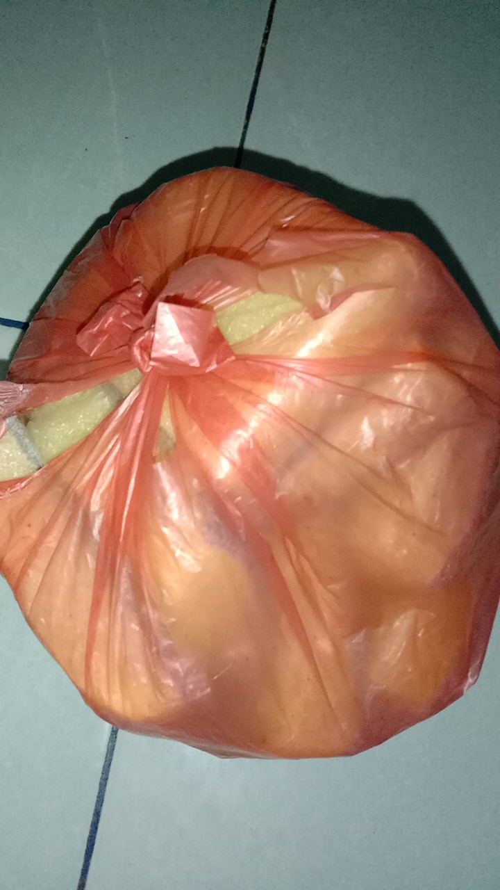 Spon / Busa Spon / Spon Piring / Spon Cuci Piring