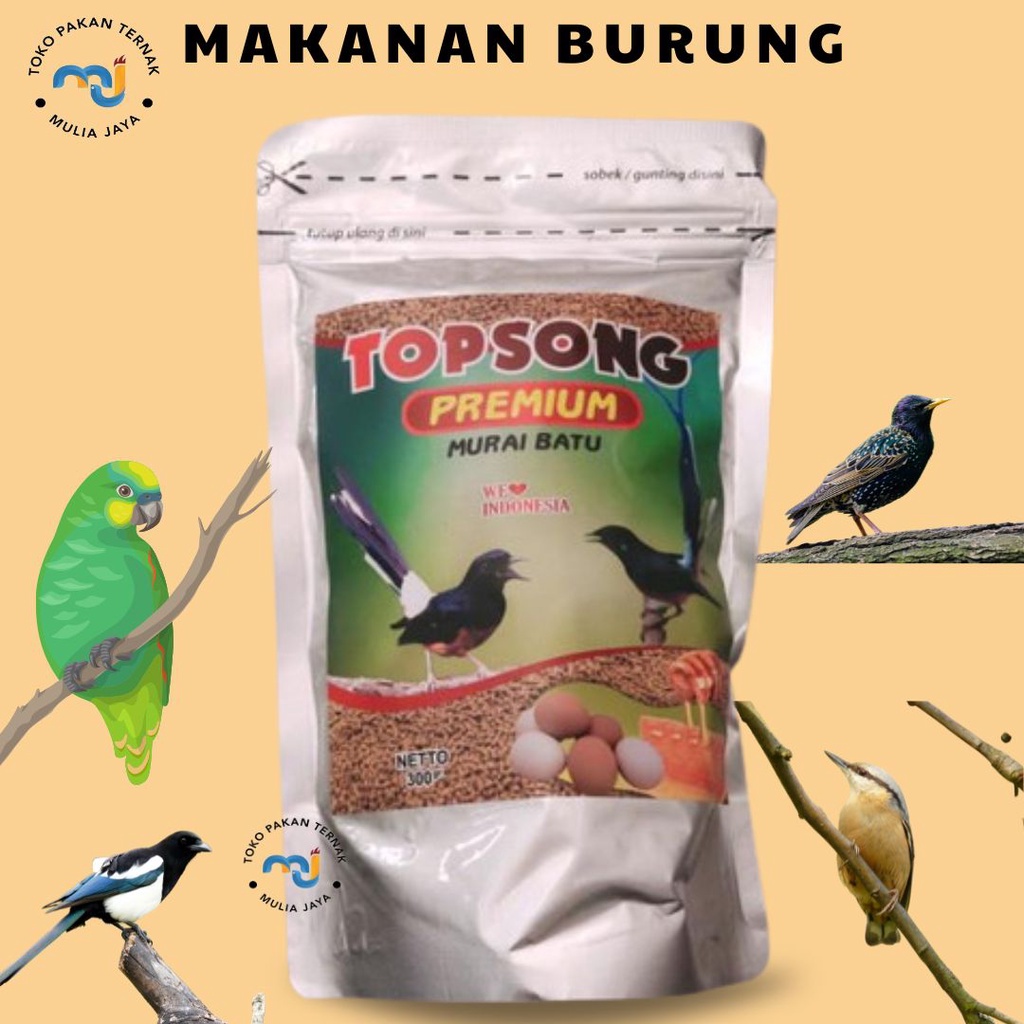Topsong Top Song Premium Murai Batu Pakan Burung