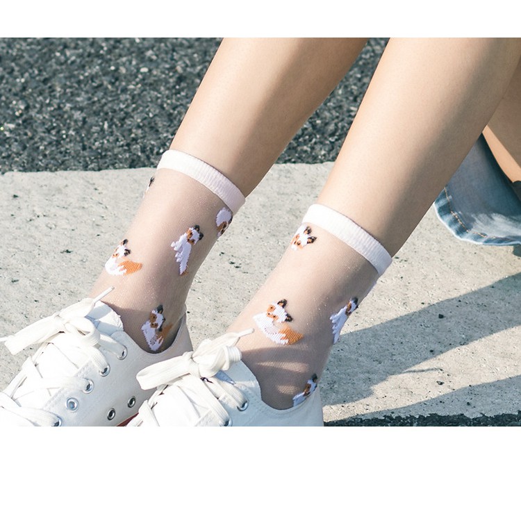 KK-36 kaos kaki animal cat kucing fox summer musim panas cotton socks transparan korea japan jepang