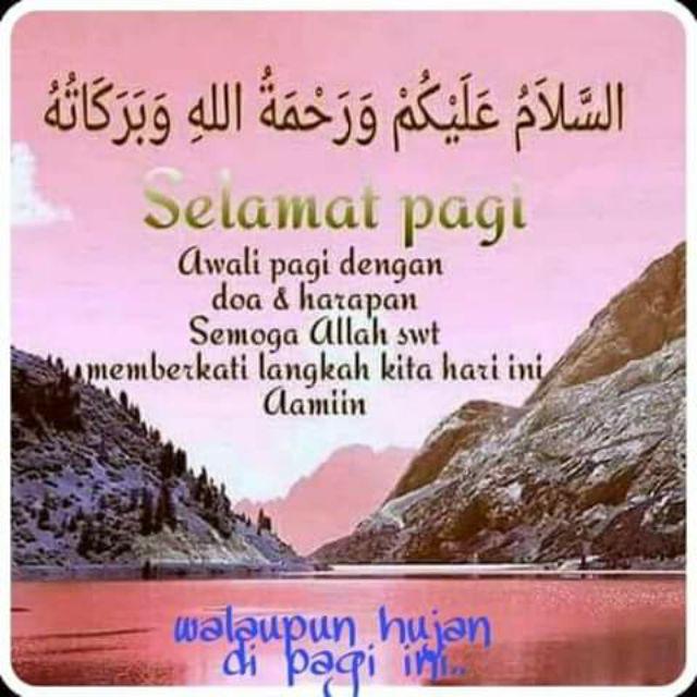 Benih Rumput Gajah Kemasan Maica Leaf