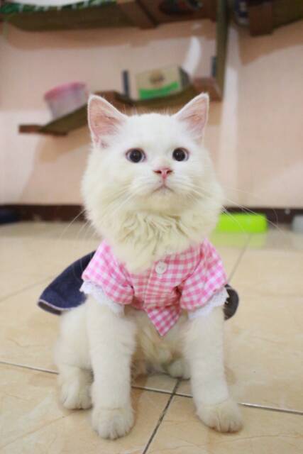 Dress kotak-kotak pinky lucu untuk kucing dan anjing / baju kucing murah meriah size S M L XL