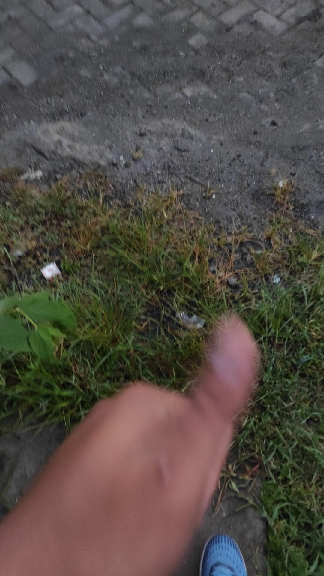 Gramoxon 1liter Untuk Membasmi Rumput