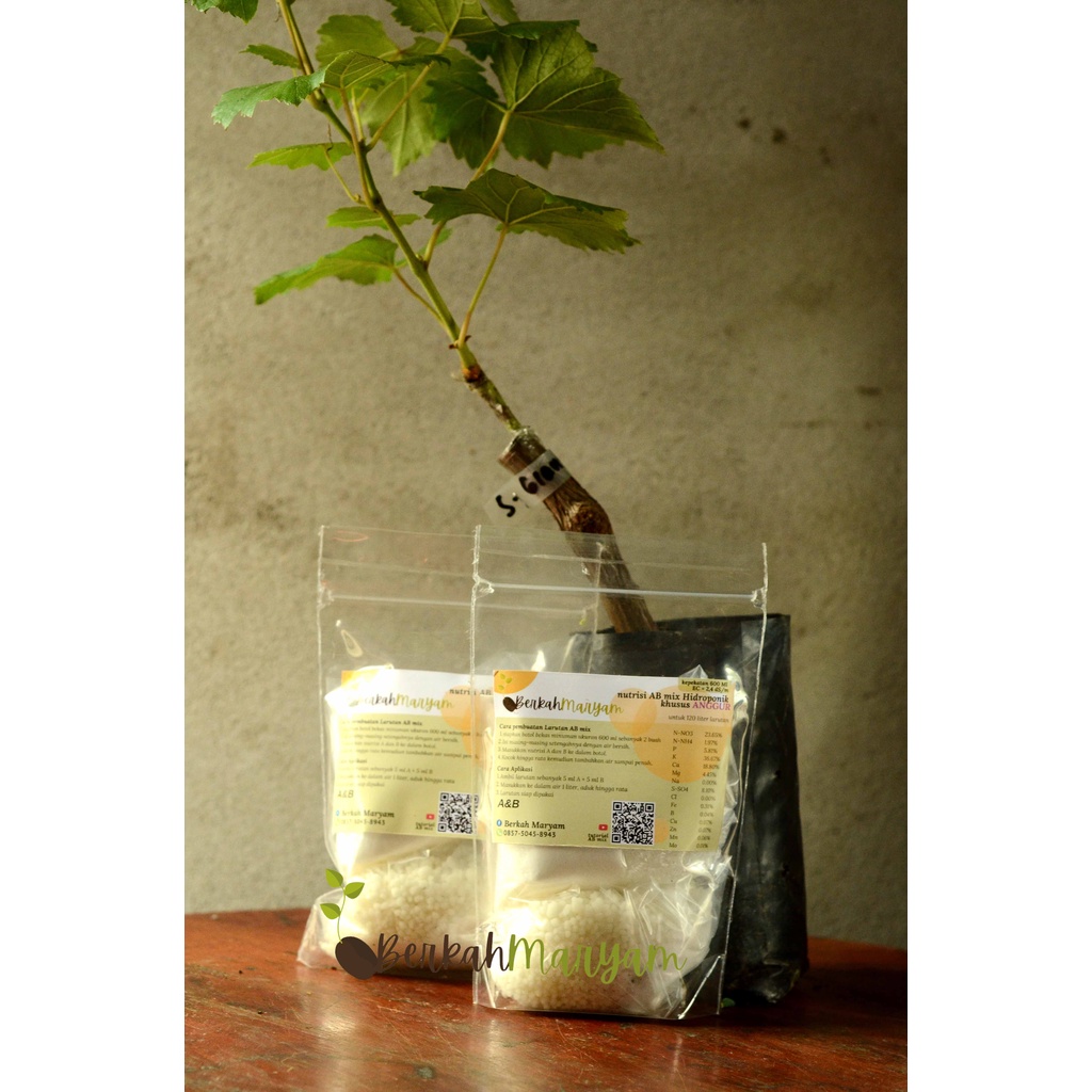 Pupuk AB mix Anggur