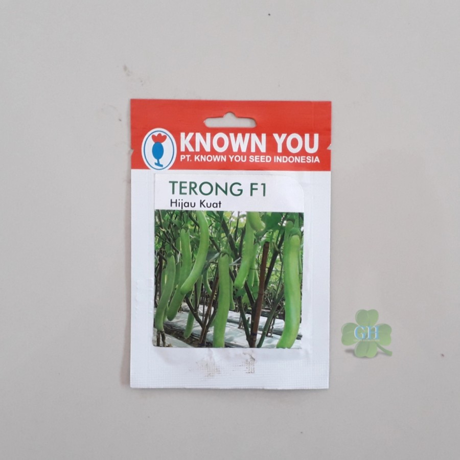 Benih Bibit TERONG F1 Hijau Kuat Panjang, Known You Seed