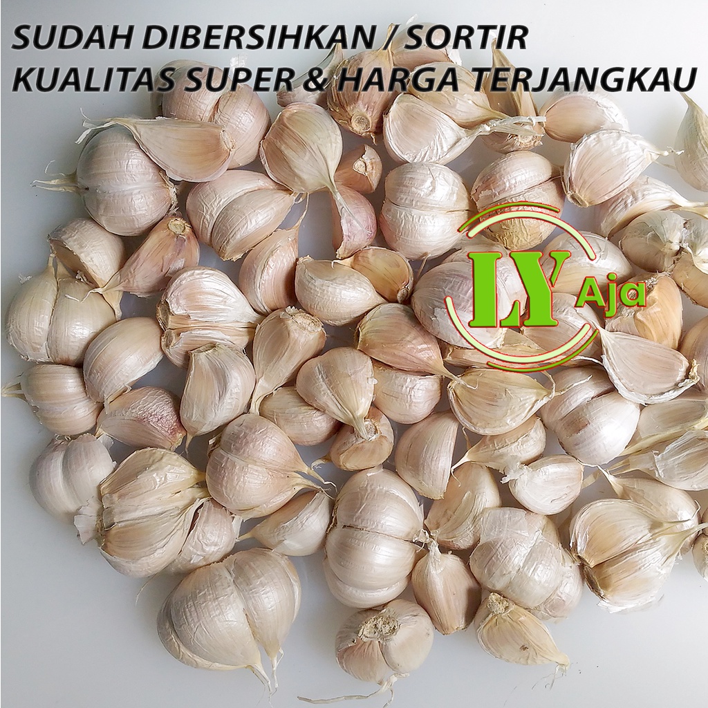 Bawang Putih Kating BERSIH Pretelan 1 Kg 1Kg Kualitas Super LY Aja