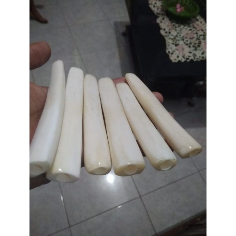 pipa rokok tulang sapi