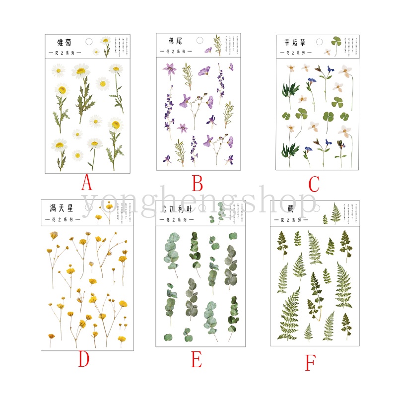 Stiker Desain Bunga Daisy Iris Untuk Dekorasi Diary Album Scrapbook