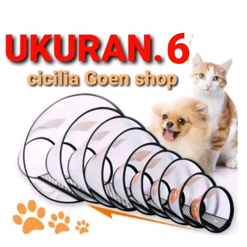 ukuran 6 pelindung Corong Penutup Leher Anjing Kucing Elizabeth Pet Protection dog cat Kelinci cone