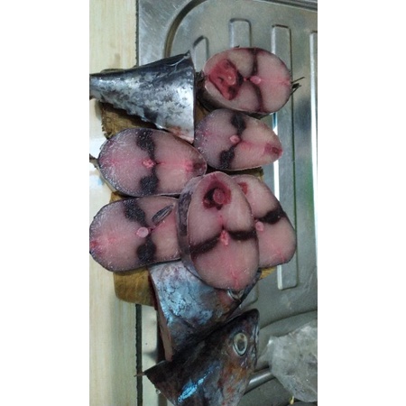 

ikan tongkol abu siap potong