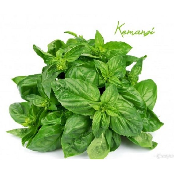 paket super hemat harga seribuan biji benih sayur selada paprika tomat bayam dll-kemangi 20