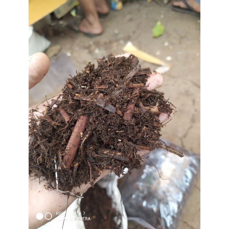 Andam/Media tanam andam